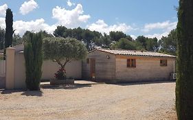 Chalet De Charme Climatise Sur La Route Du Ventoux